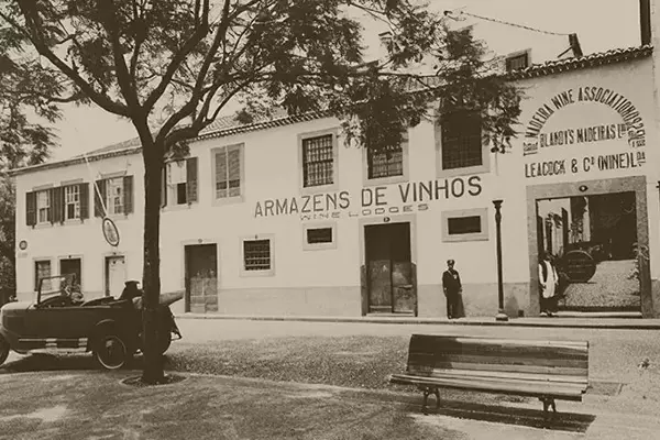 Madeira asociation
