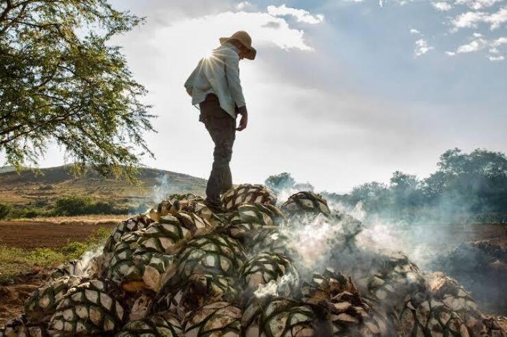 Tequila en Mezcal smoke pit